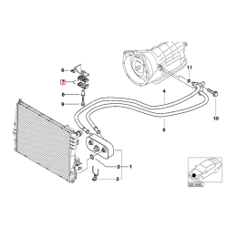 BMW E46 Otomatik Şanzıman Soğutucu Hattı Destek Klipsi