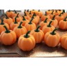 Halloween Mini Balkabağı Seti