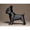 French Bulldog Biblo