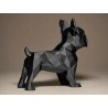 French Bulldog Biblo