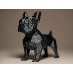 French Bulldog Biblo