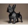 French Bulldog Biblo