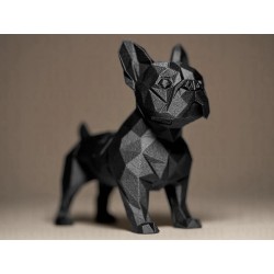 French Bulldog Biblo