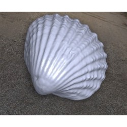 Plastik Deniz Kabuğu