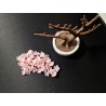 Sakura Bonsai Gerçekci Çicek Plastik